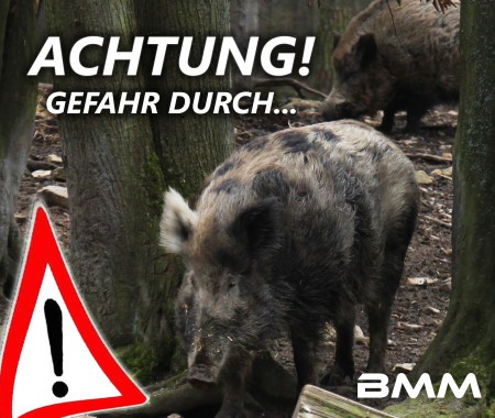 Achtung Wildschweine